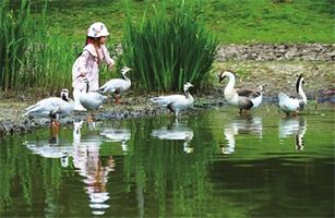 關(guān)于人與自然和諧共生，二十大報(bào)告中這樣說